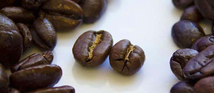 Все дело в Робусте или не надо бояться новых вкусов